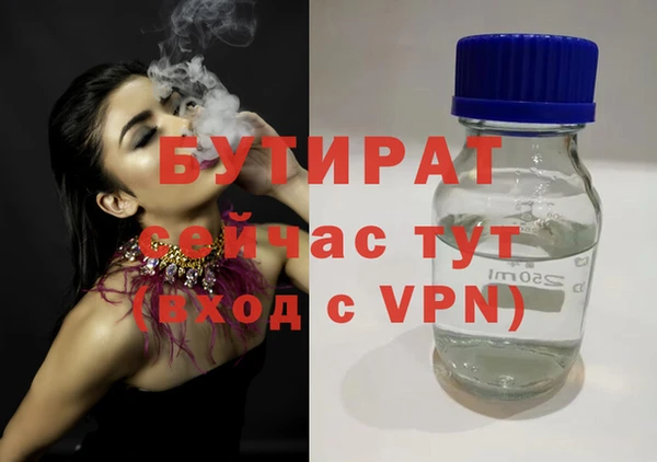 2c-b Ельня