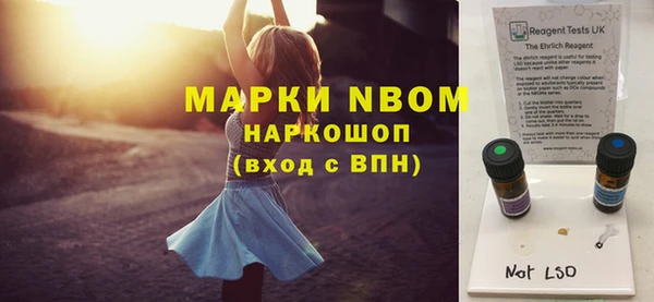 2c-b Ельня
