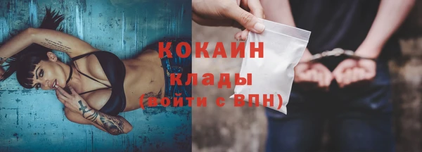 2c-b Ельня