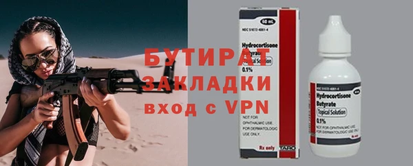 2c-b Ельня