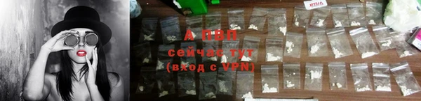 2c-b Ельня
