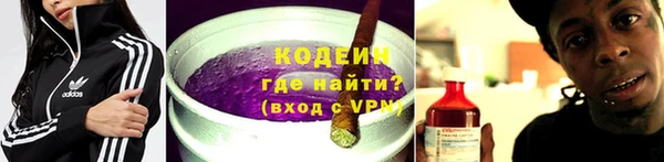 2c-b Ельня