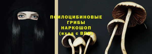 mix Елабуга