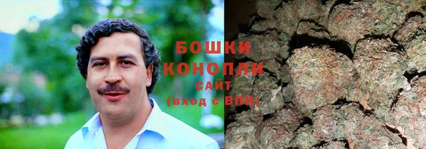 дурь Елизово