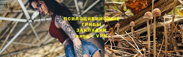 дурь Елизово