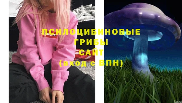 2c-b Ельня