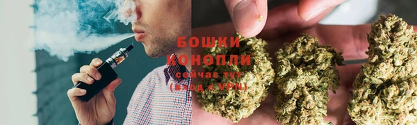 2c-b Ельня